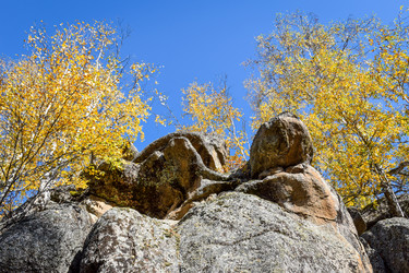 Similar image 21907521