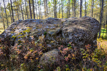 Similar image 21907522