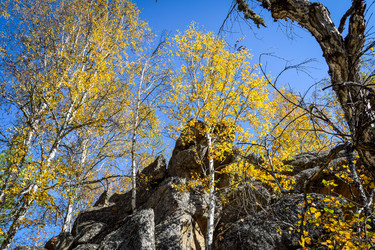 Similar image 21907523