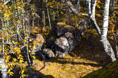 Similar image 21907526