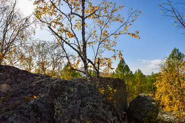 Similar image 21907527