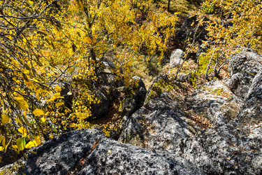 Similar image 21907530