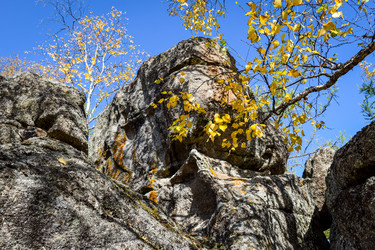 Similar image 21907531