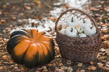 Similar image 21911297