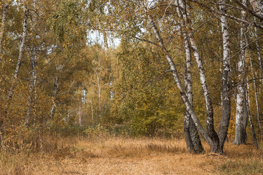 Similar image 21911298