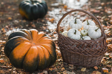 Similar image 21911299