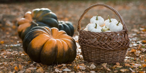 Similar image 21911301