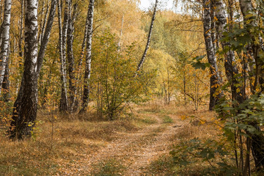 Similar image 21911303