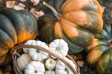 Similar image 21909194