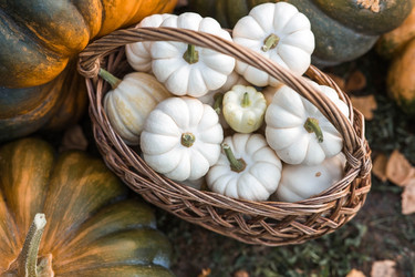 Similar image 21909198