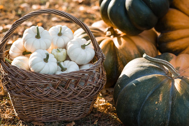 Similar image 21909199