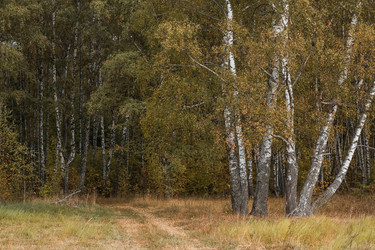 Similar image 21909200