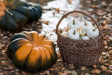 Similar image 21909201