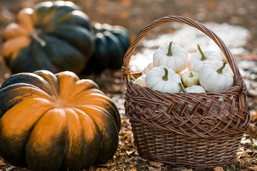 Similar image 21909203