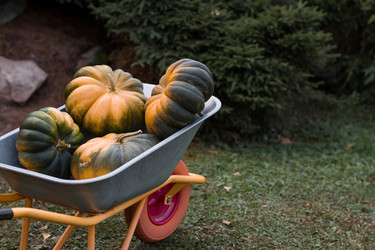 Similar image 21909204