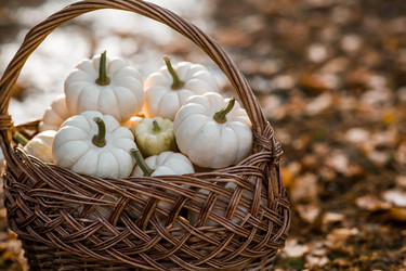 Similar image 21909205