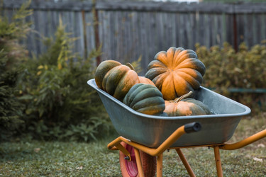 Similar image 21909206