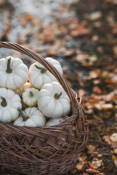 Similar image 21909207