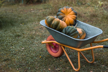 Similar image 21909208