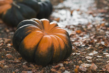 Similar image 21909209