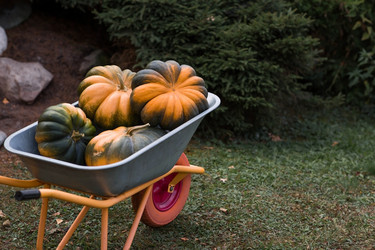 Similar image 21909210