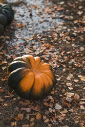 Similar image 21909211