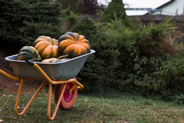 Similar image 21909212