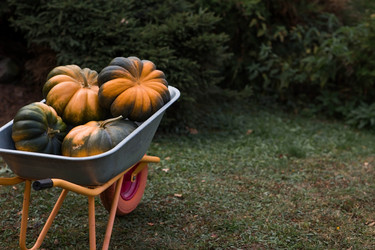 Similar image 21909216