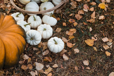 Similar image 21909217