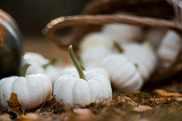 Similar image 21909219