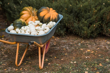 Similar image 21909220