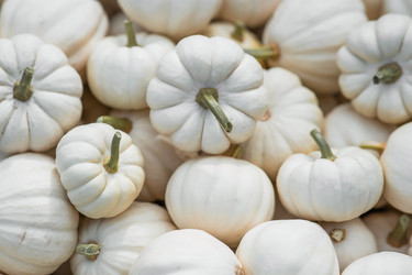 Similar image 21909222