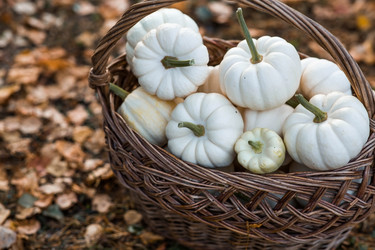 Similar image 21909225