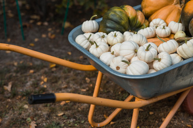 Similar image 21909226