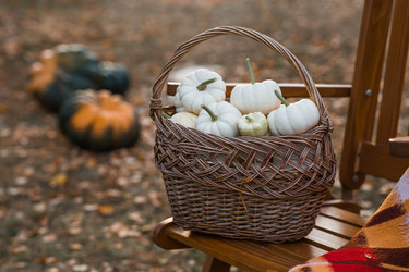 Similar image 21909227