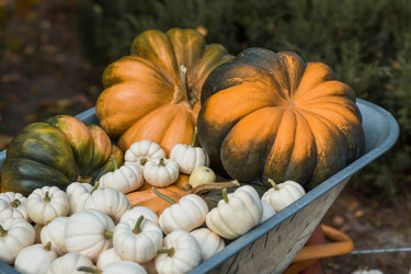 Similar image 21909228