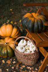 Similar image 21909234