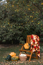 Similar image 21909528