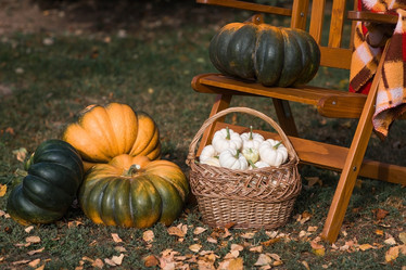 Similar image 21909530