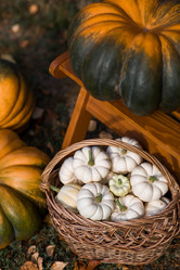 Similar image 21909532