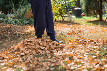 Similar image 21909535