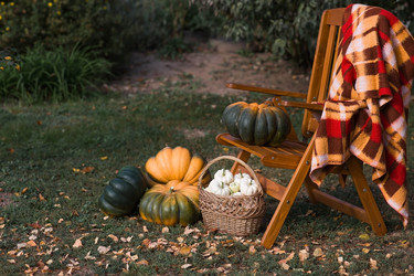 Similar image 21909536