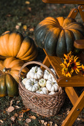 Similar image 21909538