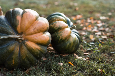 Similar image 21909540