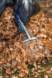 Similar image 21909541