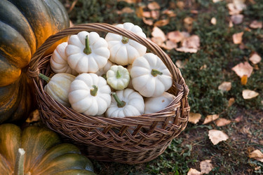 Similar image 21909542