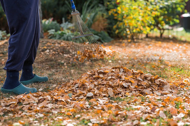 Similar image 21909543