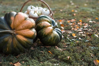 Similar image 21911304