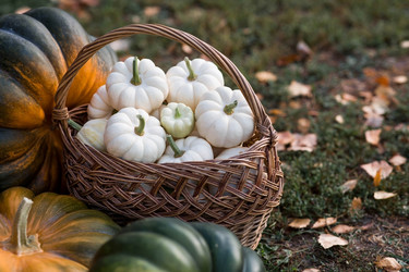 Similar image 21911306