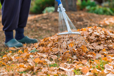 Similar image 21911307